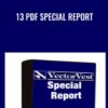 13 PDF Special Report - VectorVest