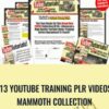2013 Youtube Training PLR Videos – Mammoth Collection