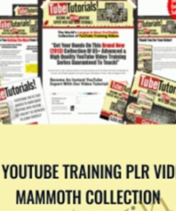 2013 Youtube Training PLR Videos – Mammoth Collection