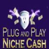 Plug and Play Niche Cash – Andrew Hansen