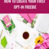 Angie Nelson How to Create Your First Opt in Freebie » Courses[GB]