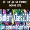 Butterflies for monthly Income 2016 E28093 Dan Sheridan » Courses[GB]
