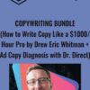 Copywriting Bundle (How to Write Copy Like a $1000 Or Hour Pro by Drew Eric Whitman + Ad Copy Diagnosis with Dr. Direct)