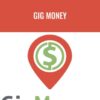 Dave Kaminski E28093 Gig Money » Courses[GB]