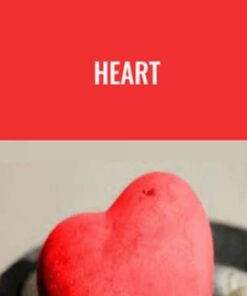 Heart  - David Tian