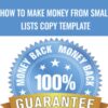 How to Make Money from Small Lists Copy Template - Dan Doberman