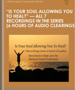 "Is Your Soul Allowing You To Heal?" -- All 7 Recordings in the Series (6 Hours of Audio Clearings)