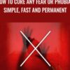 How to Cure any FEAR or PHOBIA - simple, fast and permanent - James Hayes
