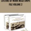 Lifetime Of Work Mega Swipe File Volume 2 » Courses[GB]