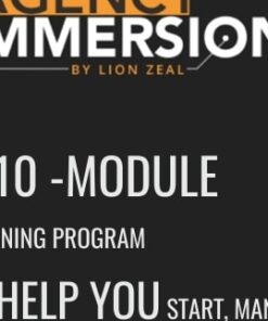 Agency Immersion - Lion Zeal