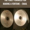 Matt Furey The Furey Formula for Making A Fortune E28093 Email » Courses[GB]