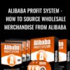 Alibaba Profit System - How To Source Wholesale Merchandise From Alibaba - Mike Riley