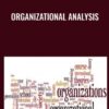 Organizational Analysis - Daniel McFarland