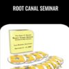 Root Canal Seminar » Courses[GB]