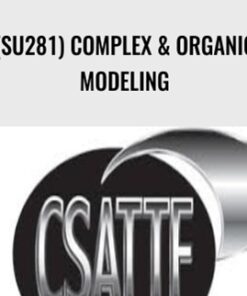 (SU281) Complex & Organic Modeling