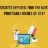 Secrets Exposed Find The Most Profitable Niches of 2017 » Courses[GB]