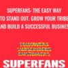 Superfans: The Easy Way to Stand Out, Grow Your Tribe, And Build a Successful Business - Pat Flynn