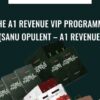 The A1 Revenue VIP Programme - A1 Revenue