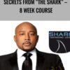 The Daymond John Academy E28093 Secrets from The Shark E28093 8 week course » Courses[GB]