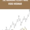 The Harmonic Elliott Wave Video Webinar » Courses[GB]