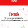 The Hustle E28093 Trends » Courses[GB]