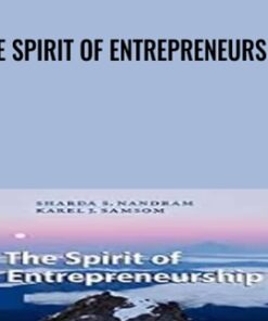The Spirit of Entrepreneurship - Nandram & Others