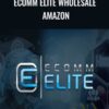 Todd Snively and Chris Keef E28093 Ecomm Elite Wholesale Amazon » Courses[GB]