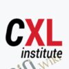 UX and Usability Masterclass – Conversionxl