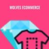 Wolves eCommerce Teachable » Courses[GB]