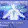 Clearing Past-Life Trauma Programs