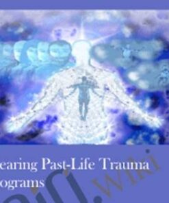 Clearing Past-Life Trauma Programs