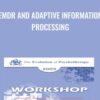 EMDR and Adaptive Information Processing » Courses[GB]