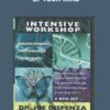 Joe Dispenza Understanding the Power of Your Mind » Courses[GB]
