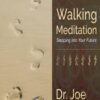 Joe Dispenza Walking Meditation Stepping into Your Future Volume One » Courses[GB]