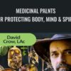 Medicinal palnts for Protecting Body Mind Spirit David Crow » Courses[GB]