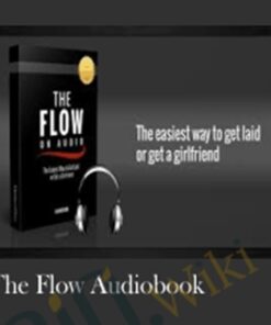 The Flow Audiobook - The Modern Man