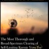 The Most Thorough and Broad Spectrum Clearing of Self Limiting Karmic » Courses[GB]
