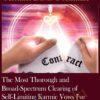 The Most Thorough and Broad Spectrum Clearing of Self Limiting Karmic Vows I ve Ever Done2C Part 1 » Courses[GB]