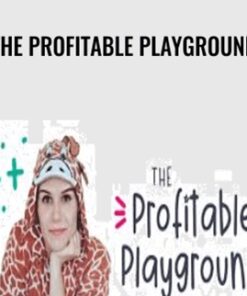 The Profitable Playground - Elizabeth Goddard