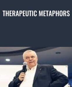 Therapeutic Metaphors - Frank Pucelik