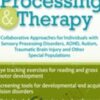 Vision Processing Therapy Collaborative Approaches for Individuals with Sensory Processing Disorders2C ADHD2C Autism2C Traumatic » Courses[GB]