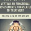 What If Its Not BPPV Vestibular Functional Assessments Translated to Treatment » Courses[GB]