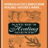 InterGalactics Endocrine Healing Natures Inner Pharmacopeia mp3s Presence Healing Inc » Courses[GB]