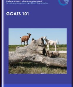 Goats 101 - Deborah Niemann