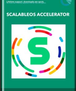 ScalableOS Accelerator - Ryan Deiss