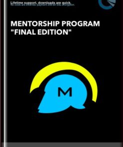 Mentorship program "Final edition" - illyrianfx