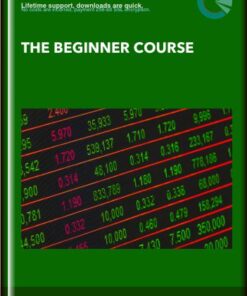 The Beginner Course - LYNK TRADING