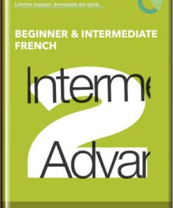 The Damon D French Course - Beginner & Intermediate French