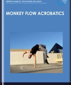 Monkey Flow Acrobatics - Stefan's School of Movement