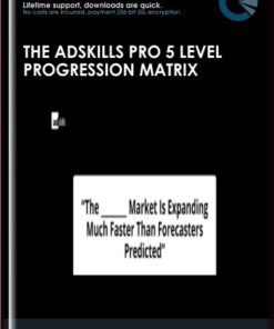 The AdSkills Pro 5 Level Progression Matrix - Justin Brooks (AdSkills)
